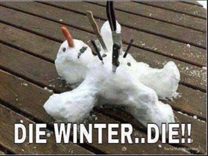 Die Winter_Die_300