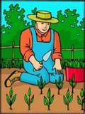 planting_in_the_garden