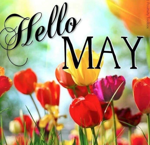 Hello May 500