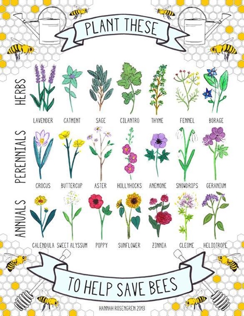 Plant These 495
