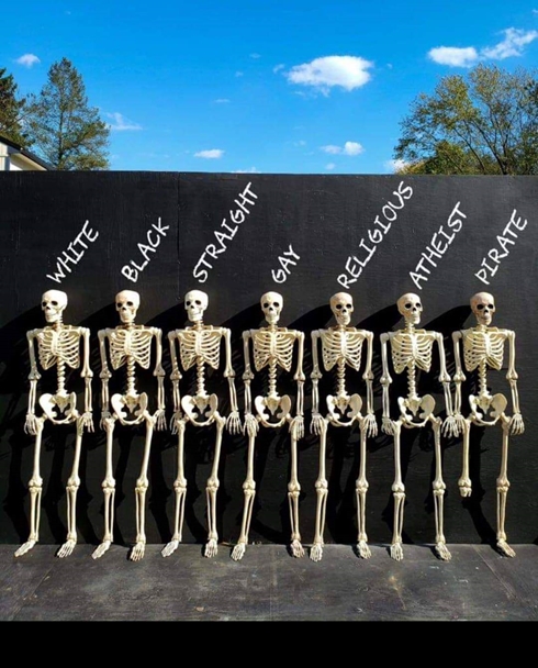 We are all alike 490