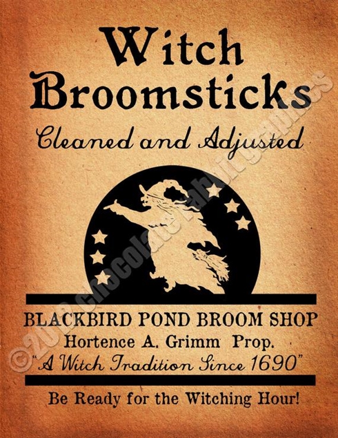 Witch Broomsticks 490