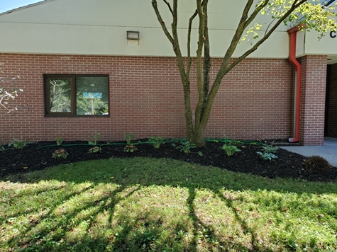 Resized 20200817 113051 475