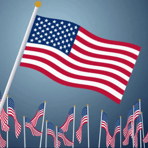 giphy flags