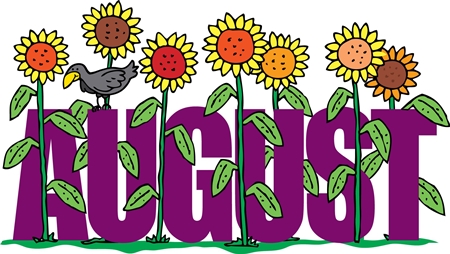 August Sunflowers