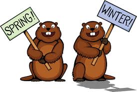 Groundhog Winter Spring