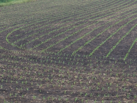 Rows 2 450