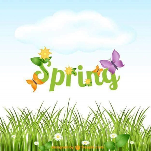 Spring 495