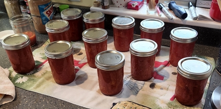 Canning 450