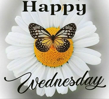 FB IMG 1629897337283 450