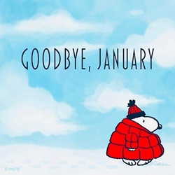 Goodbye January 250