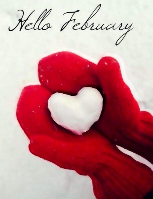 Hello February 495