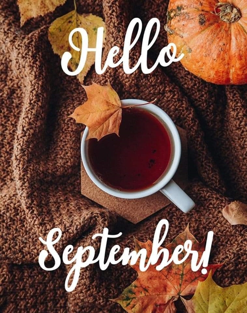 Hello September 495