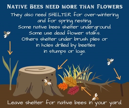 Bees Poster 450