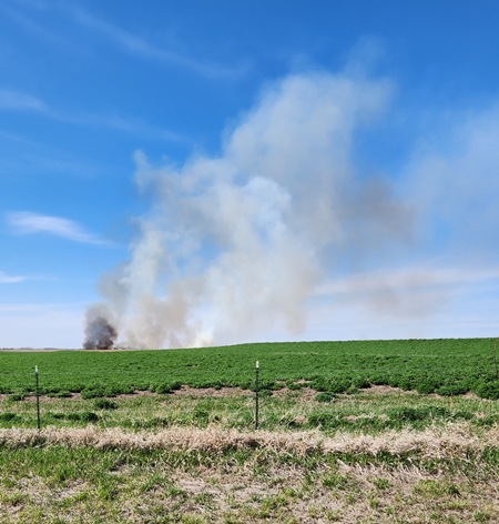 Fire on Sunday 450