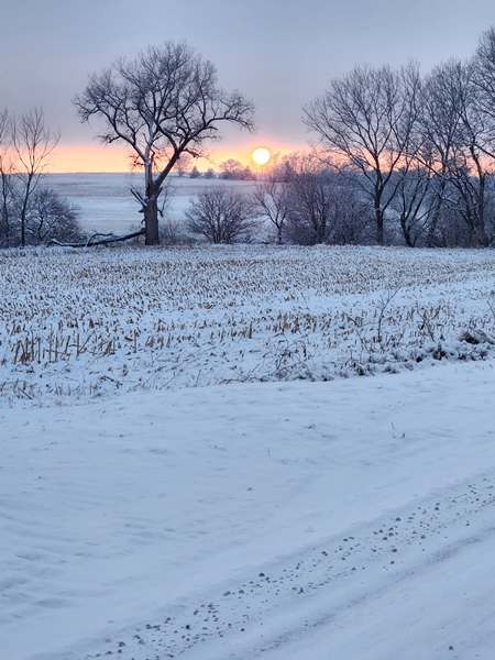 Sunset 1 450