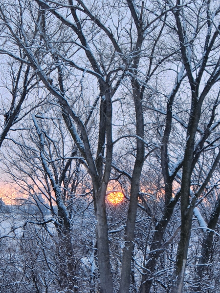 Sunset 2 450