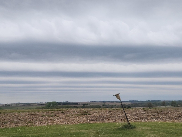 Bobs photo of the clouds 600