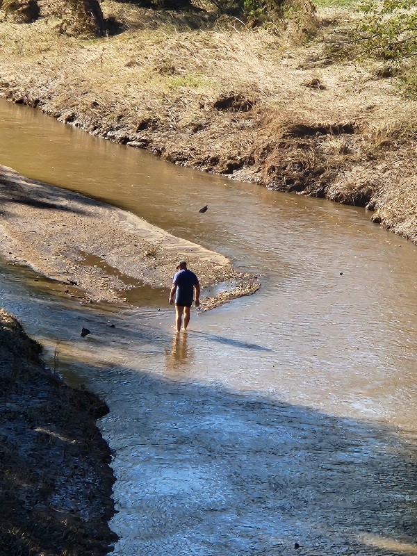 Creek Walker