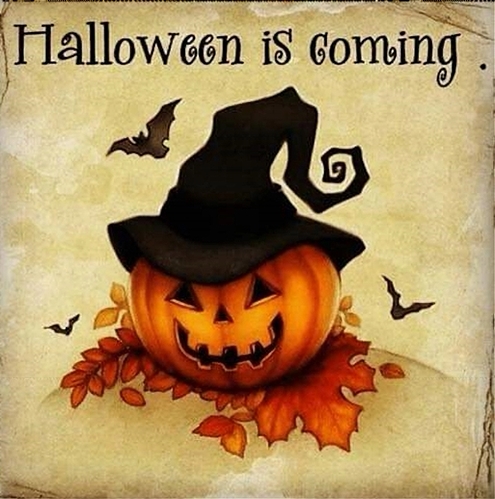 Halloween is coming 495