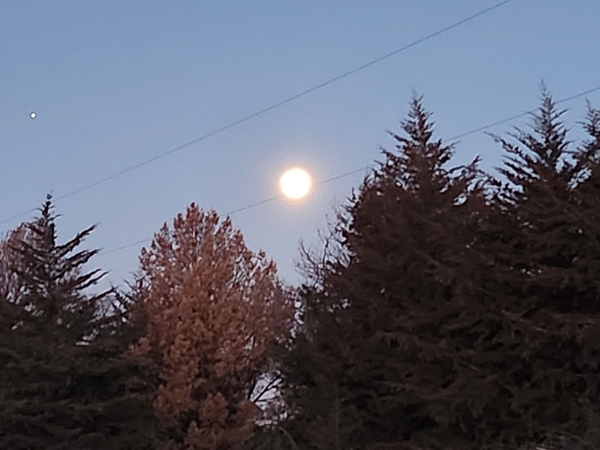 Moon and morning star 600