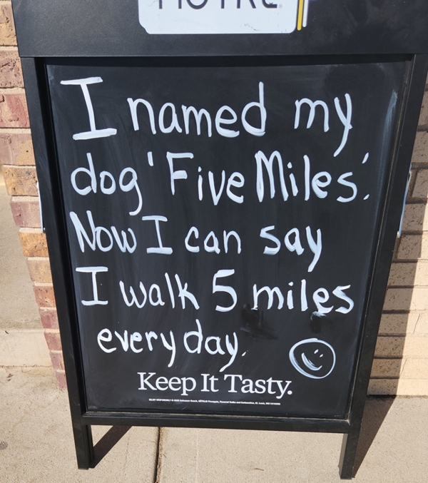 My Dog 5 miles 600