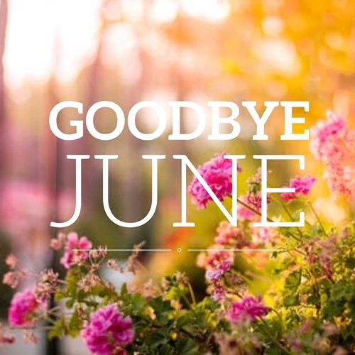 Goodbye June 500