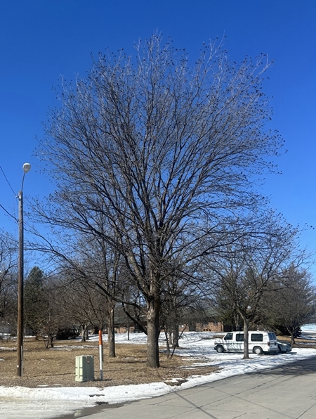 IMG 3830 450