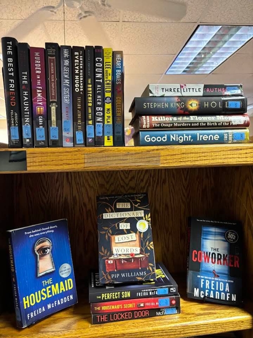 Library Books 2 500