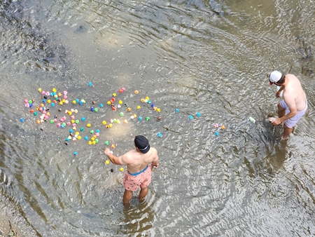 Ducks 450