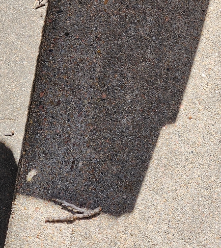 Eclipse shadow 2024 450