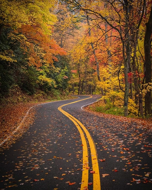 Fall highway 495