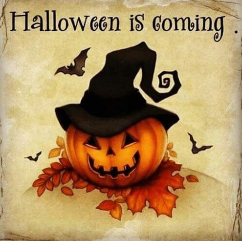Halloween is coming 495