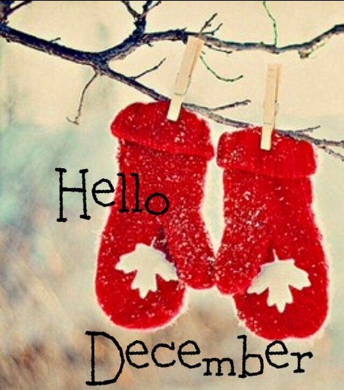 Hello December 495