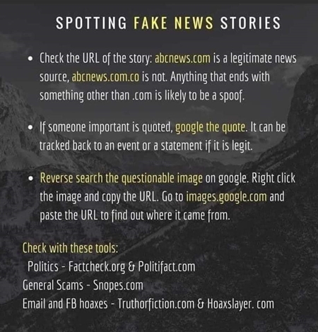 Spotting Fake News 450