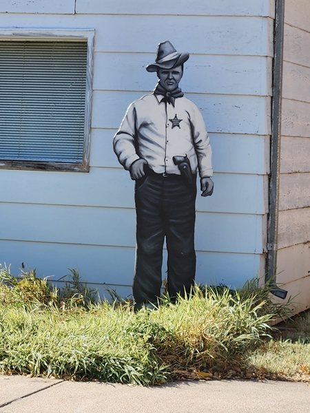 Taylor cut out 2 450