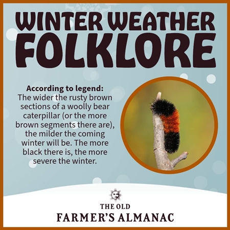 Winter Folklore 450