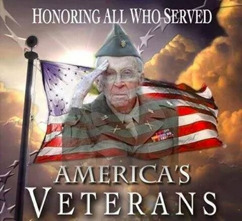 American Veterans_350