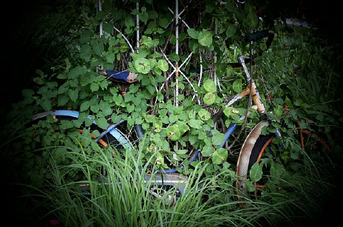 Bike_4