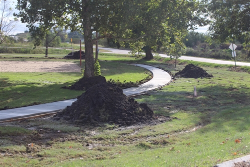 Bike Path_1_500