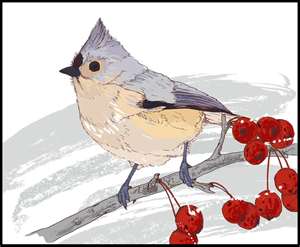 Bird and_berries
