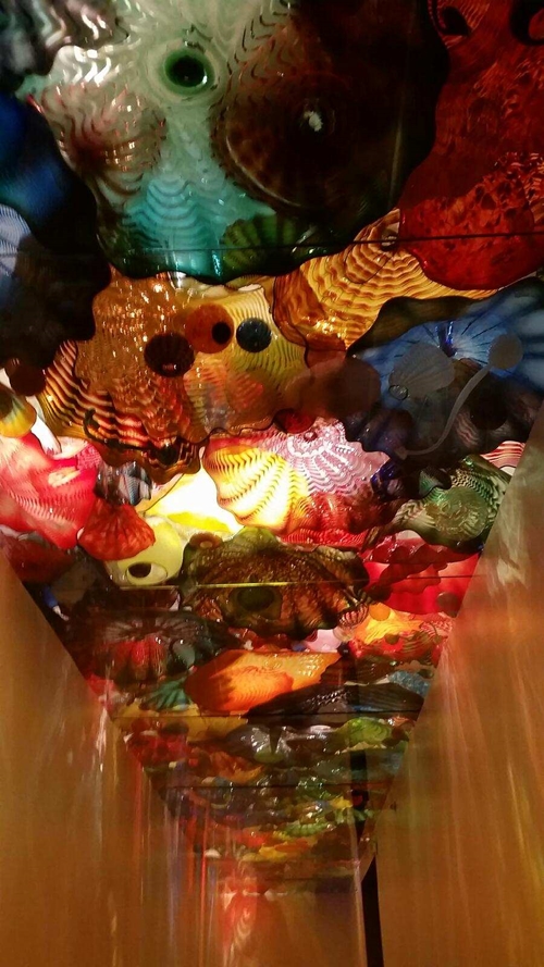 Ceiling of_Chihuly_Glass_500