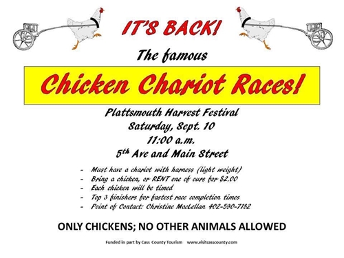 Chicken Chariot_Races_500