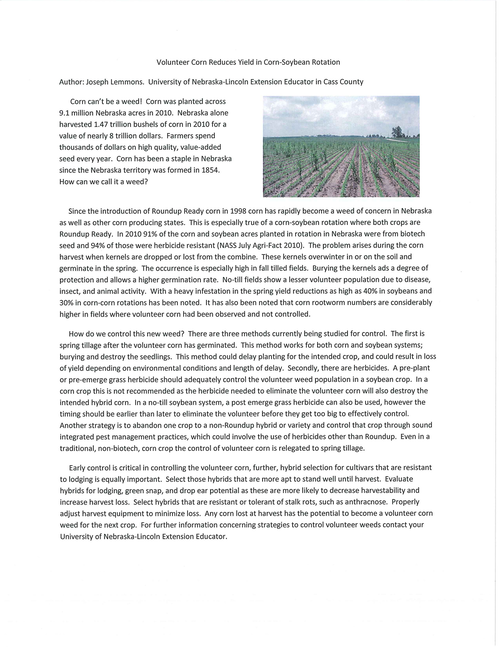 Corn_flyer
