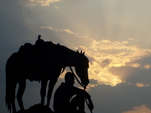 Cowboy susnset_300