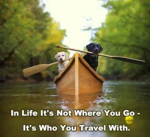 Dog Poster_resized