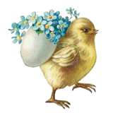 Easter_chick
