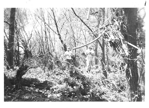 Flood 16_resized