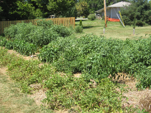 Garden_2