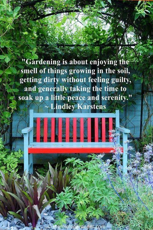 Gardening 500